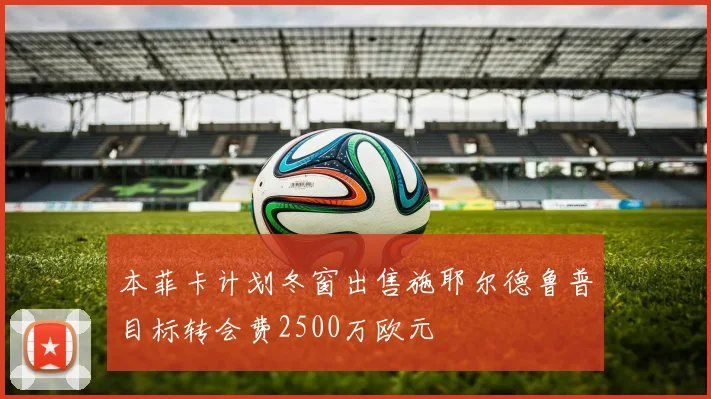 本菲卡计划冬窗出售施耶尔德鲁普目标转会费2500万欧元