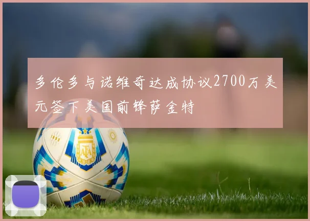 多伦多与诺维奇达成协议2700万美元签下美国前锋萨金特