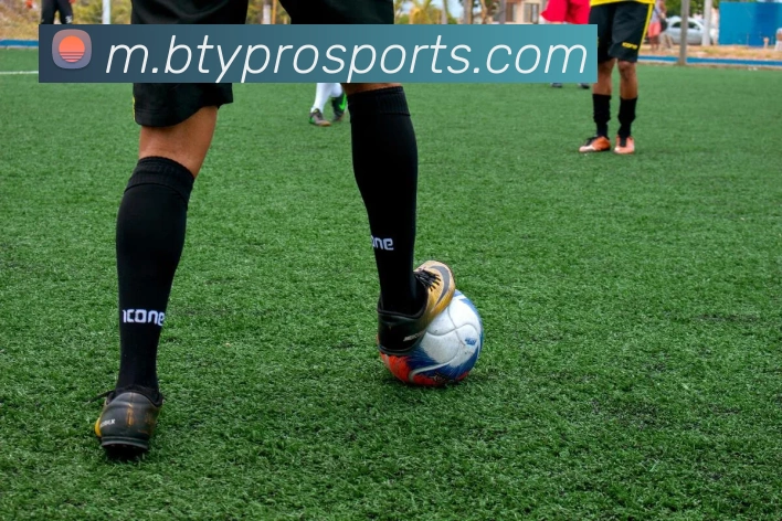 B体育平台生态图